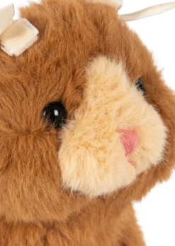 BABY ANIMALS - brown cat