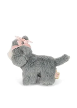 BABY ANIMALS - grey cat