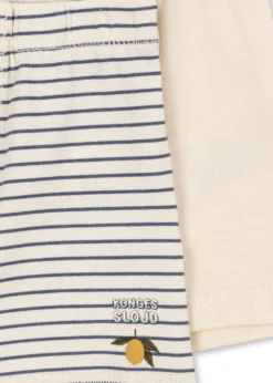 BASIC 2-PAK BOXERS - blue stripe