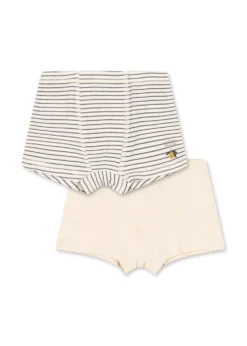 BASIC 2-PAK BOXERS - blue stripe