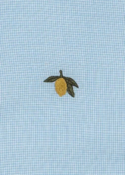 FRAN SKJORTE - blue check