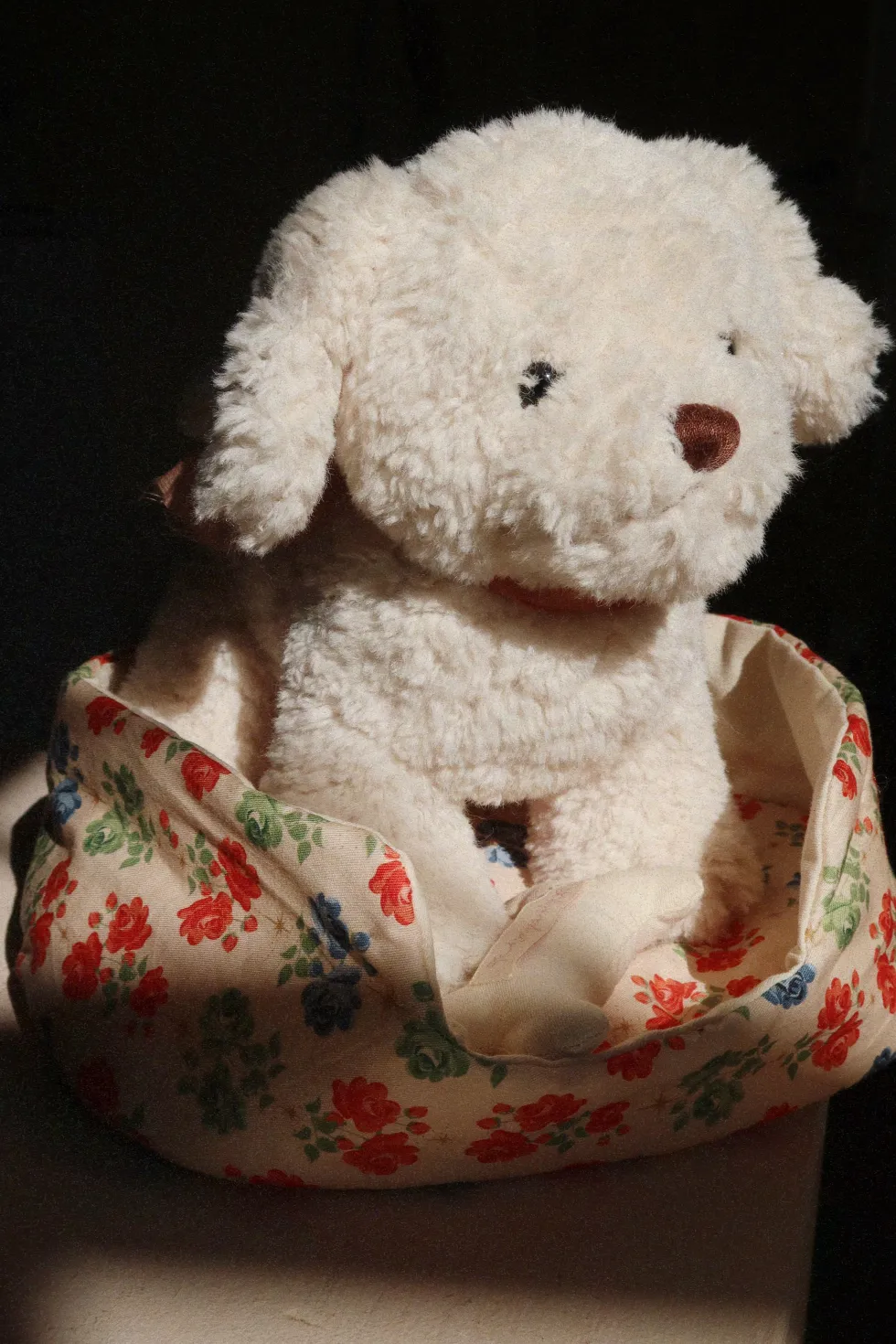 Hundehvalpen Madeleine - fiola