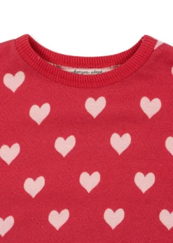 loupy lou sweatshirt - amour jazzy