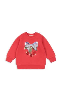 lou sweatshirt - winterberry