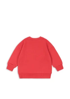 lou sweatshirt - winterberry