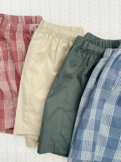 2 PACK VERNE SHORTS - flint check/cilantro