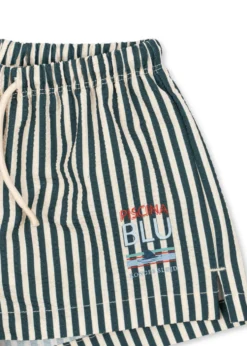SEER ASNOU SWIM SHORTS - sea moss