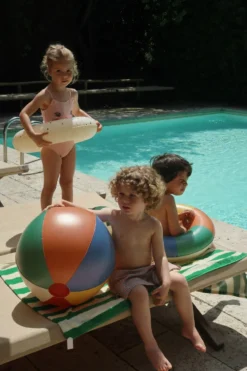SWIM RING AND BEACH BALL SET - multi