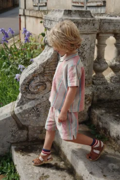 Venice shorts - stan stripe