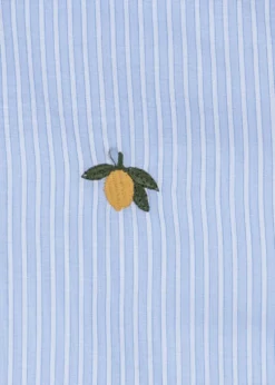 Wes Skjorte - blue stripe